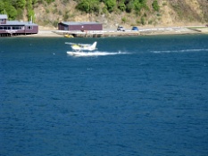 Seaplane Landing in the Port of Picton 6.JPG